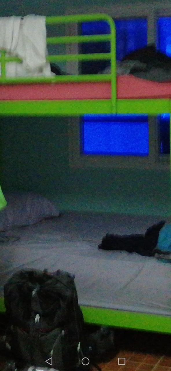 Neverland Dorm Phi Phi-öarna Exteriör bild